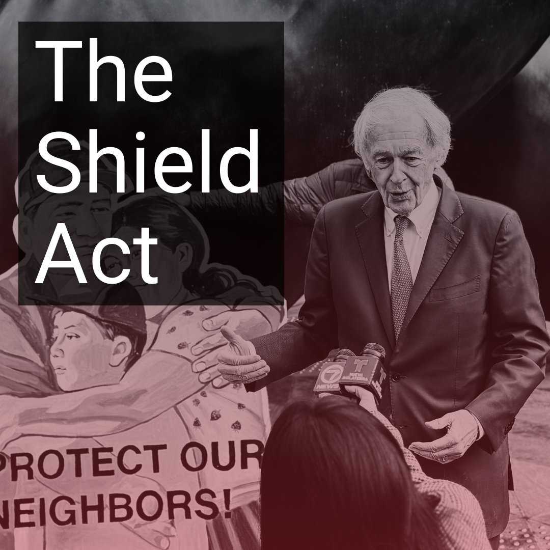 The Shield Act