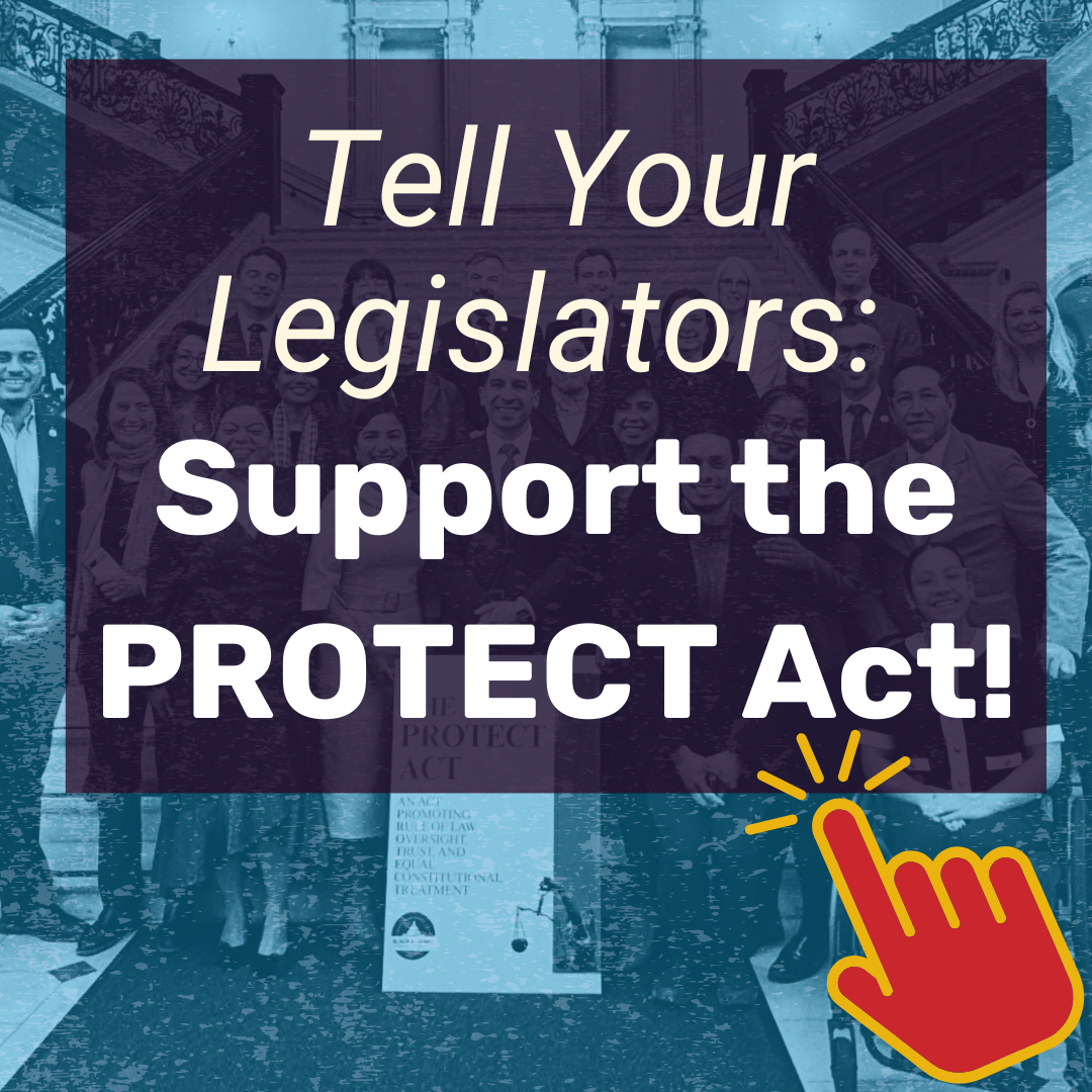 Tell Your Legislators: Support the PROTECT Act!